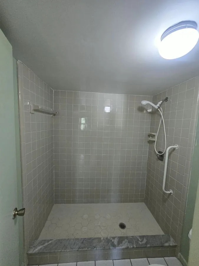 Walk-in shower with square wall tile, a hexagonal mosaic floor and a marble curb
